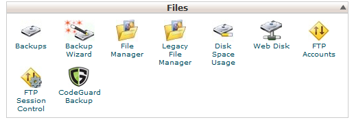 Access CPanel files
