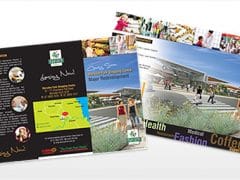 6pg DL Brochure Design