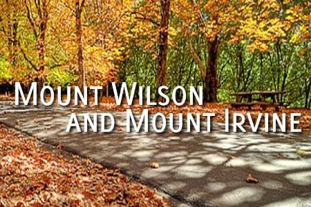 Mt Willson Logo