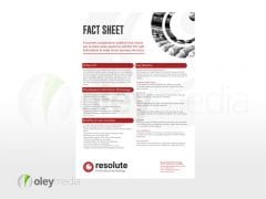 Resolute IT A4 Flyer Fact Sheet Design