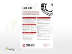 Resolute IT A4 Flyer Fact Sheet Design