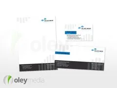 black bear corporate identity design