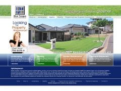 Blue Tongue PM Website Design