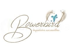 bowerbird logo design