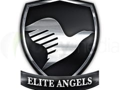 elite angels logo design