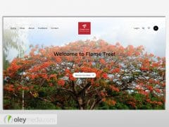 Flame Tree Artisans Website Design