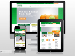 Handybin Mobile Responsive Website Design