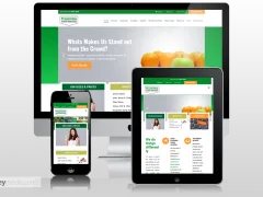 Handybin Mobile Responsive Website Design