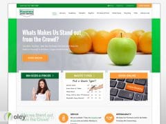 Handybin Website Design