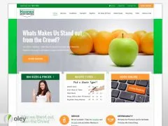 Handybin Website Design