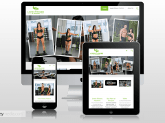 Lewin FP Mobile Responsive Website Design
