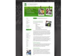 SFX Narrabri Website Design