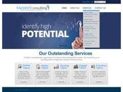 Talmat Consulting Website Design