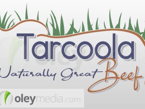 Tarcoola Beef Logo Design