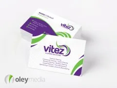vitez cleaning solutions business card design
