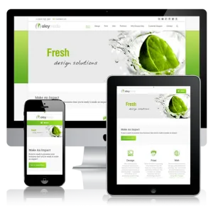 web design responsive mobile friendly