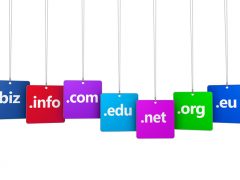 web domain name tld