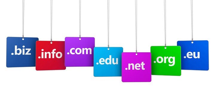 web domain name tld