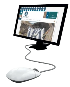 website design melbourne mouse and monitor